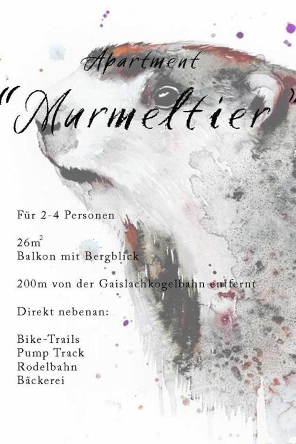 Landhaus Martinus ゼルデン エクステリア 写真