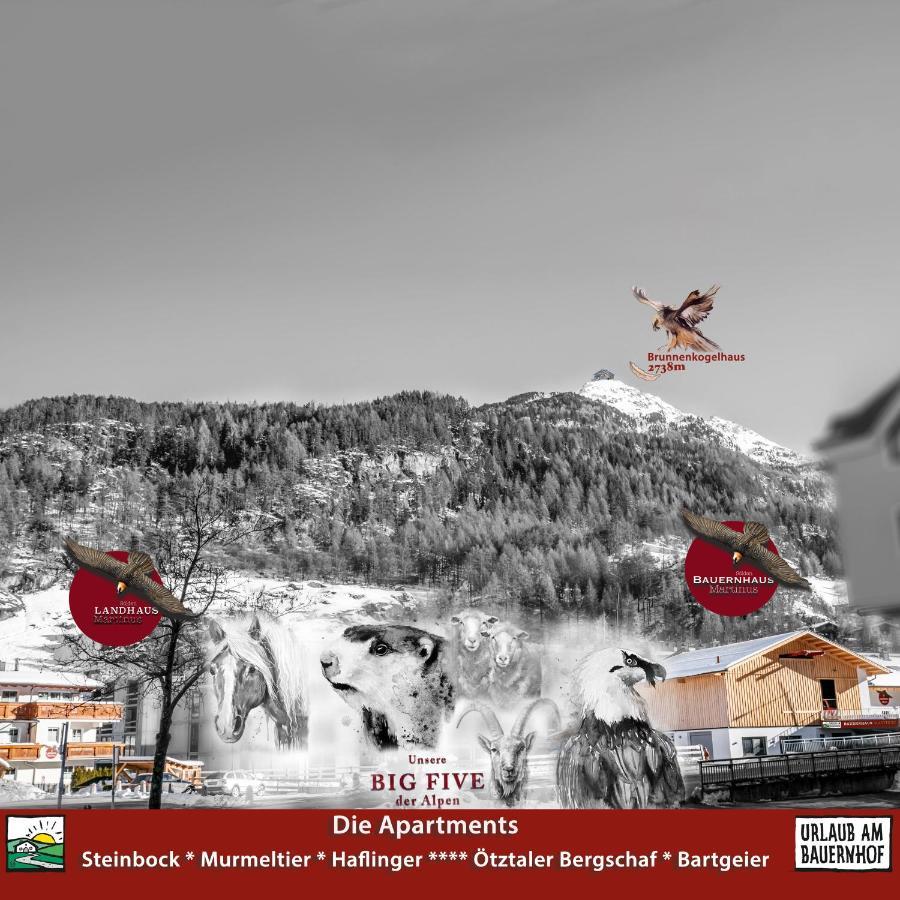 Landhaus Martinus ゼルデン エクステリア 写真